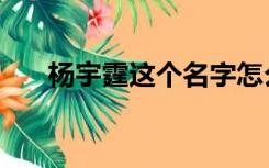 杨宇霆这个名字怎么样（杨宇霆简介）