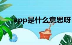 app是什么意思呀（app是什么意思）