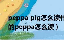 peppa pig怎么读什么意思（peppa pig中的peppa怎么读）