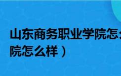 山东商务职业学院怎么样啊（山东商务职业学院怎么样）