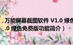 万能屏幕截图软件 V1.0 绿色免费版（万能屏幕截图软件 V1.0 绿色免费版功能简介）