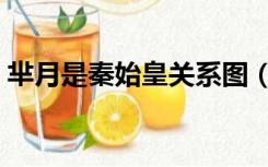 芈月是秦始皇关系图（芈月与秦始皇关系图）