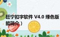 旺宁扣字软件 V4.0 绿色版（旺宁扣字软件 V4.0 绿色版功能简介）