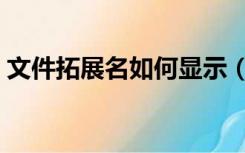 文件拓展名如何显示（文件拓展名怎么显示）