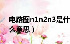 电路图n1n2n3是什么意思（n1 n2 n3是什么意思）