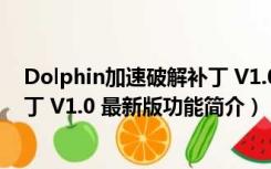 Dolphin加速破解补丁 V1.0 最新版（Dolphin加速破解补丁 V1.0 最新版功能简介）