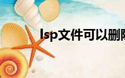 lsp文件可以删除吗（LSP文件）