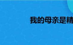 我的母亲是精灵的主要内容