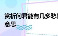 赏析问君能有几多愁恰似一江春水向东流什么意思