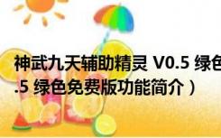 神武九天辅助精灵 V0.5 绿色免费版（神武九天辅助精灵 V0.5 绿色免费版功能简介）