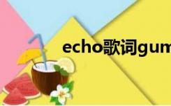 echo歌词gumi（echo歌词）