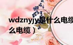 wdznyjy是什么电缆线图片（wdznyjy是什么电缆）