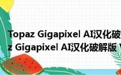 Topaz Gigapixel AI汉化破解版 V6.0.0 最新免费版（Topaz Gigapixel AI汉化破解版 V6.0.0 最新免费版功能简介）