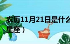 农历11月21日是什么星座（11月21日是什么星座）