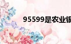 95599是农业银行吗（95599）