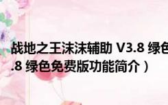 战地之王沫沫辅助 V3.8 绿色免费版（战地之王沫沫辅助 V3.8 绿色免费版功能简介）