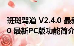 斑斑驾道 V2.4.0 最新PC版（斑斑驾道 V2.4.0 最新PC版功能简介）