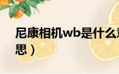 尼康相机wb是什么意思（相机wb是什么意思）