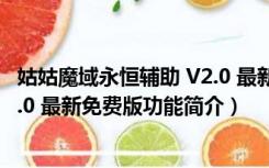 姑姑魔域永恒辅助 V2.0 最新免费版（姑姑魔域永恒辅助 V2.0 最新免费版功能简介）