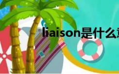 liaison是什么意思（liaison）