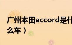 广州本田accord是什么车（本田accord是什么车）