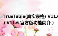 TrueTable(真实表格) V11.6 官方版（TrueTable(真实表格) V11.6 官方版功能简介）