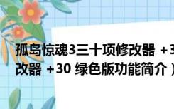 孤岛惊魂3三十项修改器 +30 绿色版（孤岛惊魂3三十项修改器 +30 绿色版功能简介）