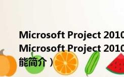 Microsoft Project 2010(通用型项目管理软件) 中文版（Microsoft Project 2010(通用型项目管理软件) 中文版功能简介）