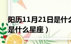 阳历11月21日是什么星座?（阳历11月21号是什么星座）