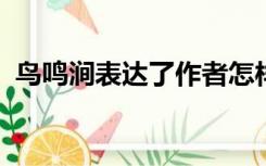 鸟鸣涧表达了作者怎样的思想感情用一个字