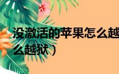 没激活的苹果怎么越狱（未激活的iphone怎么越狱）