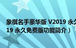 象棋名手豪华版 V2019 永久免费版（象棋名手豪华版 V2019 永久免费版功能简介）