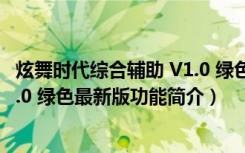 炫舞时代综合辅助 V1.0 绿色最新版（炫舞时代综合辅助 V1.0 绿色最新版功能简介）