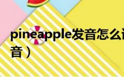 pineapple发音怎么读音（pineapple英语发音）