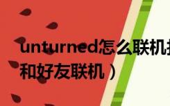 unturned怎么联机找好友（unturned怎么和好友联机）