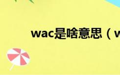 wac是啥意思（wacc是什么意思）