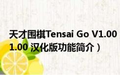 天才围棋Tensai Go V1.00 汉化版（天才围棋Tensai Go V1.00 汉化版功能简介）