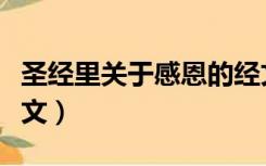 圣经里关于感恩的经文（圣经中关于感恩的经文）