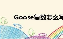 Goose复数怎么写的（goose复数）