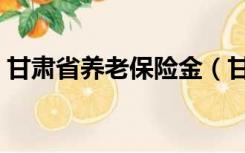 甘肃省养老保险金（甘肃省养老金最新政策）