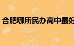 合肥哪所民办高中最好（合肥民办高中排名）