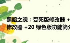 黑暗之魂：受死版修改器 +20 绿色版（黑暗之魂：受死版修改器 +20 绿色版功能简介）