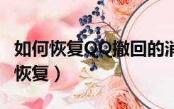 如何恢复QQ撤回的消息（qq撤回的消息怎么恢复）