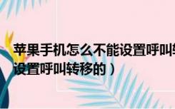 苹果手机怎么不能设置呼叫转移怎么办（苹果手机怎么不能设置呼叫转移的）