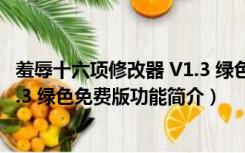 羞辱十六项修改器 V1.3 绿色免费版（羞辱十六项修改器 V1.3 绿色免费版功能简介）