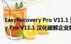 EasyRecovery Pro V11.1 汉化破解企业版（EasyRecovery Pro V11.1 汉化破解企业版功能简介）