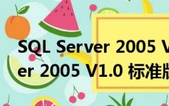 SQL Server 2005 V1.0 标准版（SQL Server 2005 V1.0 标准版功能简介）