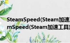 SteamSpeed(Steam加速工具) VB1K 绿色免费版（SteamSpeed(Steam加速工具) VB1K 绿色免费版功能简介）