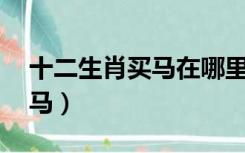 十二生肖买马在哪里买（今晚12生肖买什么马）