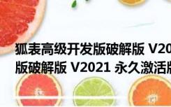 狐表高级开发版破解版 V2021 永久激活版（狐表高级开发版破解版 V2021 永久激活版功能简介）